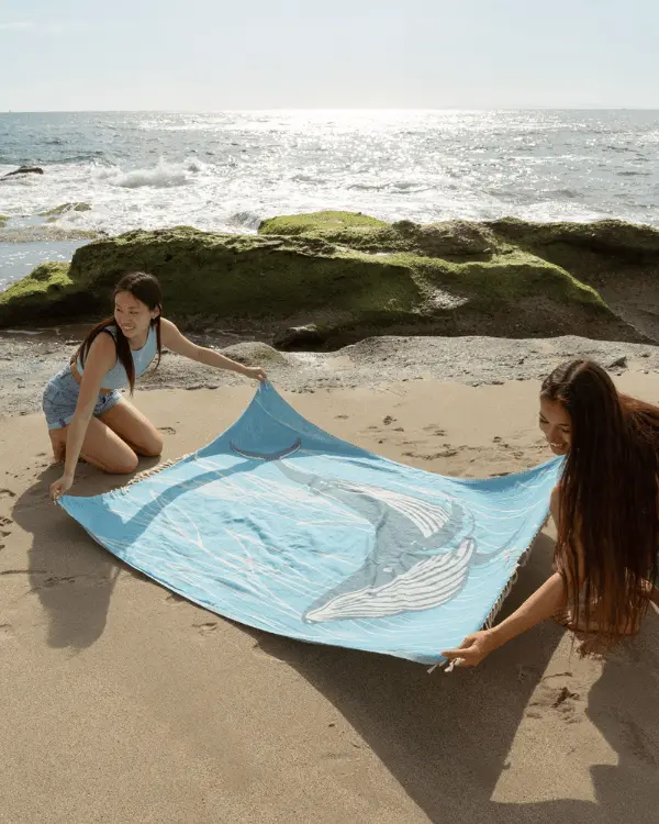 Whaley - Large | Sand Cloud - Image 6